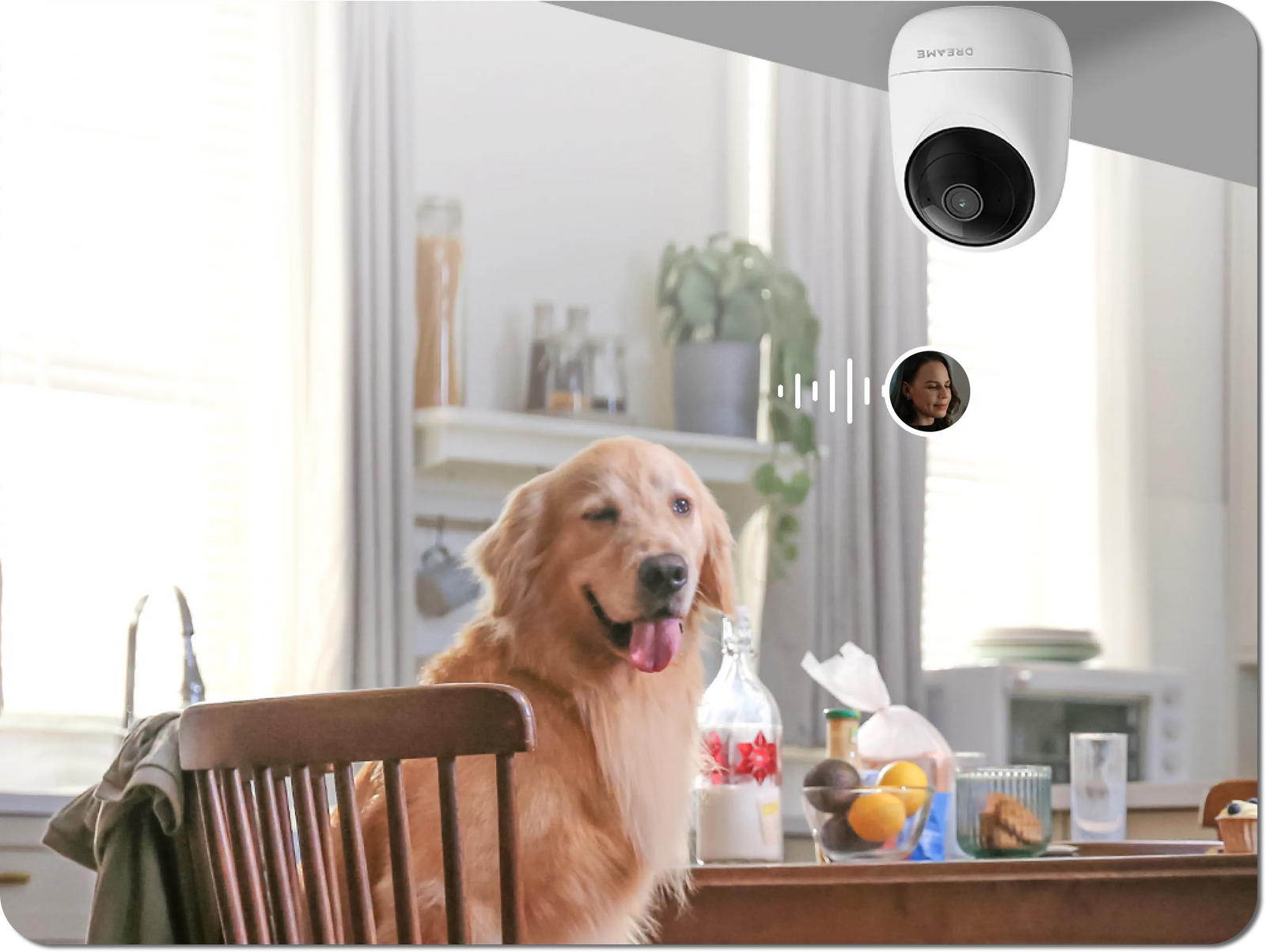 Cámara Dreame NAVO Care SE 1 InCam con audio bidireccional para corregir al perro en la cocina a distancia