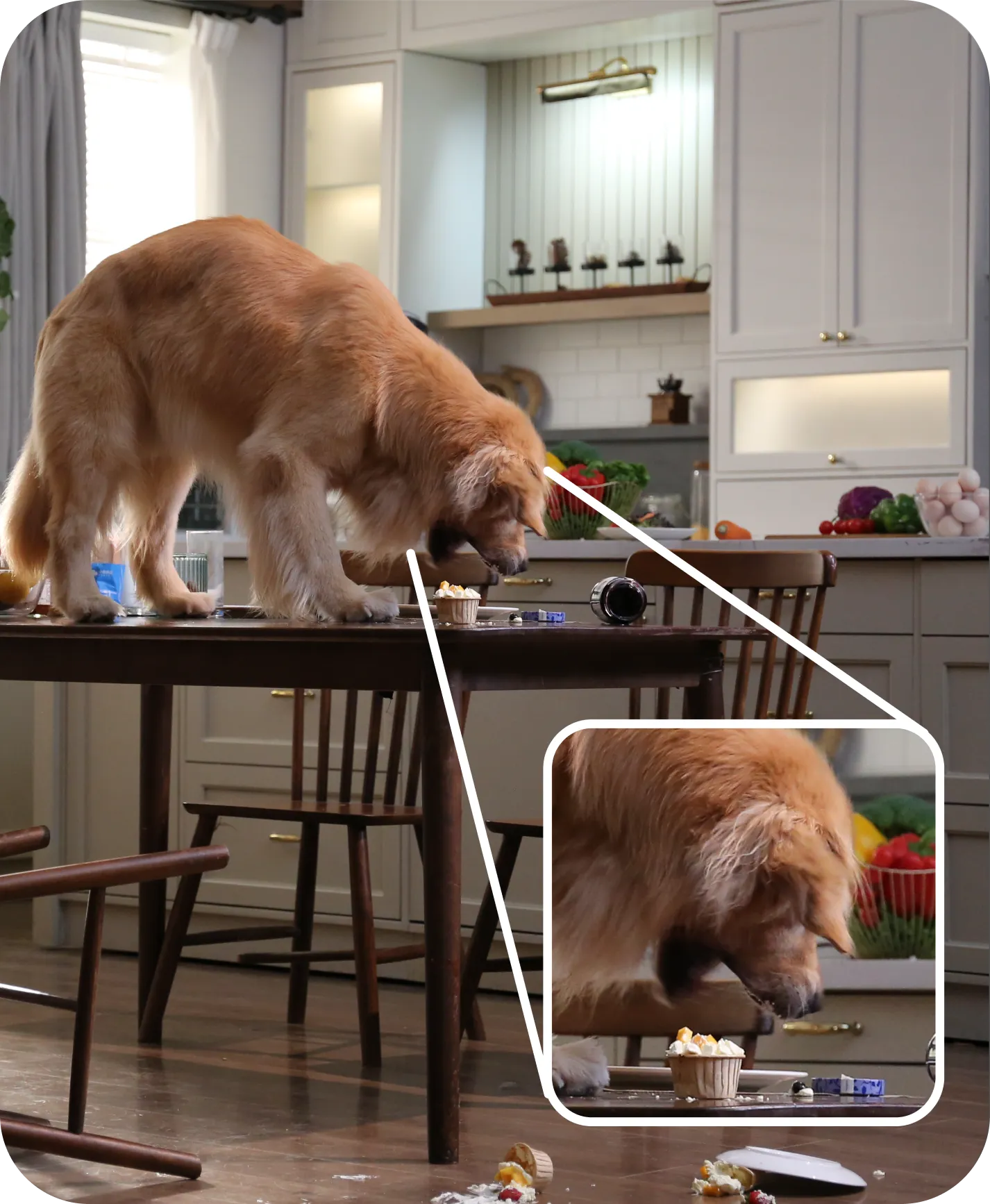 Grabación diurna en 2K de la Dreame NAVO Care 1 InCam con perro sobre la mesa y zoom 16x para imágenes nítidas