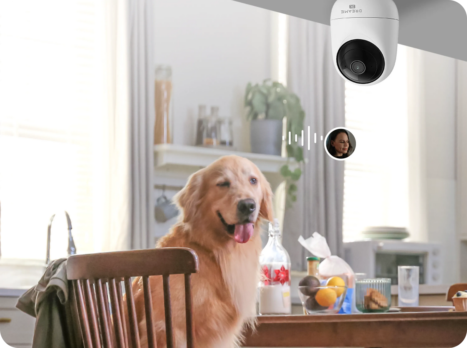Dreame NAVO Care 1 InCam en cocina con perro junto a la mesa recibiendo comando de voz remoto del dueño mediante audio bidireccional